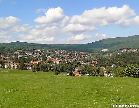 Harzhoernchen Und Harzkind, 2 In Einem Haus Apartment *